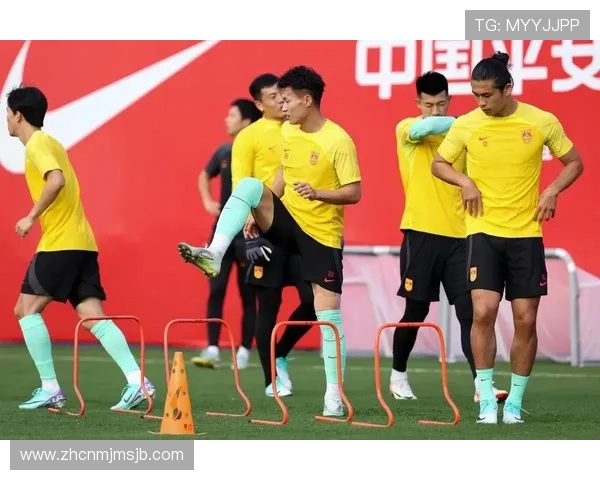 各大洲世界杯参赛名额分配比例及其对球队晋级的影响分析 各大洲世界杯参赛名额分配比例及其对球队晋级的影响分析