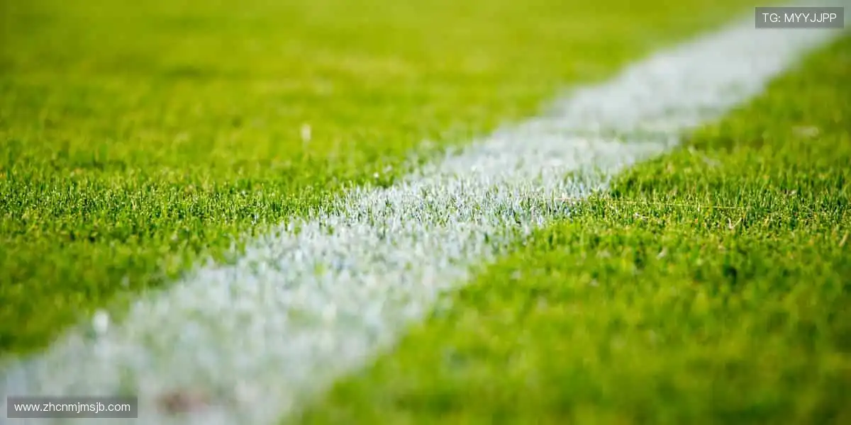 全球体育捕鱼天堂：赛事海洋千炮投注，爆分永不停